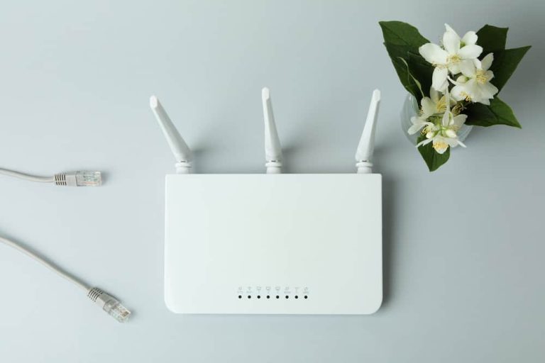 Router Wont Connect to Internet After Reset (Here is How to Fix it)